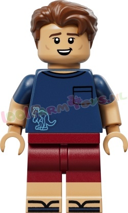 LEGO Algemeen 43017 foto 10