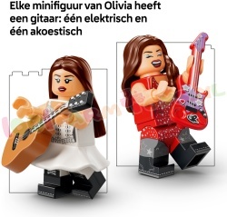 LEGO Algemeen 43031 foto 17