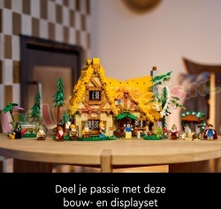LE43242 21