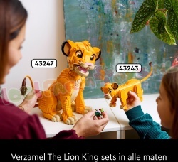 LE43247 16