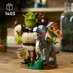 LEGO Algemeen 72423 foto 9