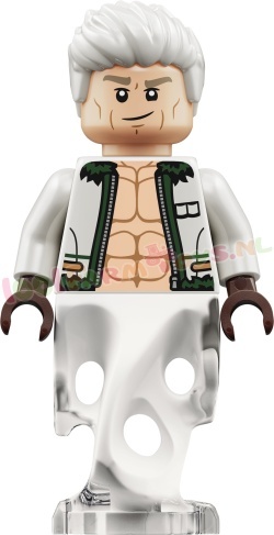 LEGO One Piece 75642 foto 16