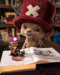LEGO One Piece 75642 foto 18