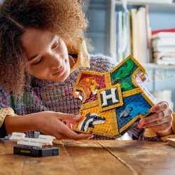 LEGO Harry Potter 76462 foto 13