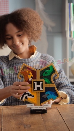 LEGO Harry Potter 76462 foto 16