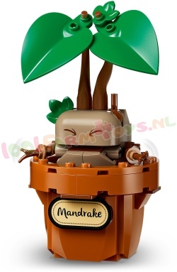 LEGO Harry Potter 76474 foto 3