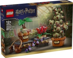 LEGO Harry Potter 76474 foto 7
