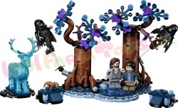 LEGO Harry Potter 76475 foto 1