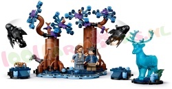 LEGO Harry Potter 76475 foto 4