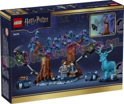 LEGO Harry Potter 76475 foto 8