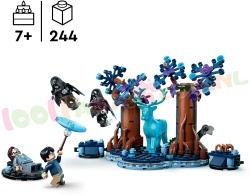 LEGO Harry Potter 76475 foto 9