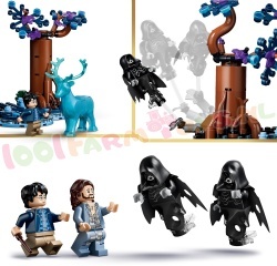 LEGO Harry Potter 76475 foto 11