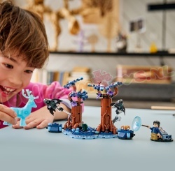LEGO Harry Potter 76475 foto 13