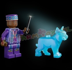 LEGO Harry Potter 76476 foto 14