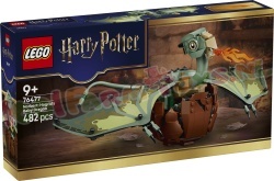 LEGO Harry Potter 76477 foto 6