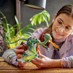 LEGO Harry Potter 76477 foto 12